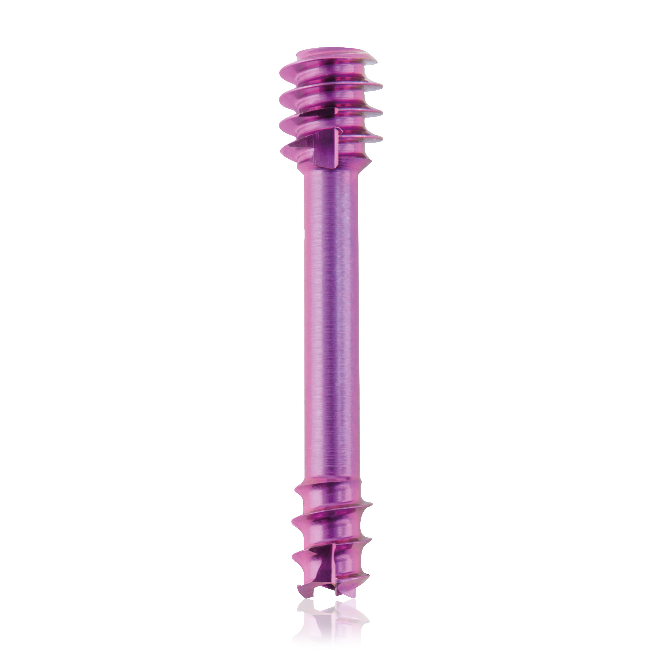 L = 16mm